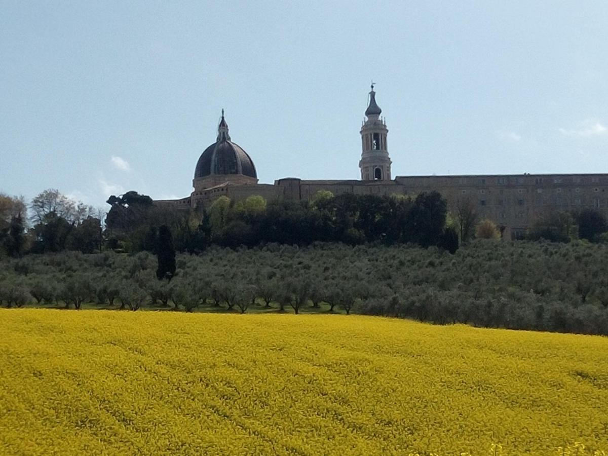 La Dolce Vita Castelfidardo Bagian luar foto