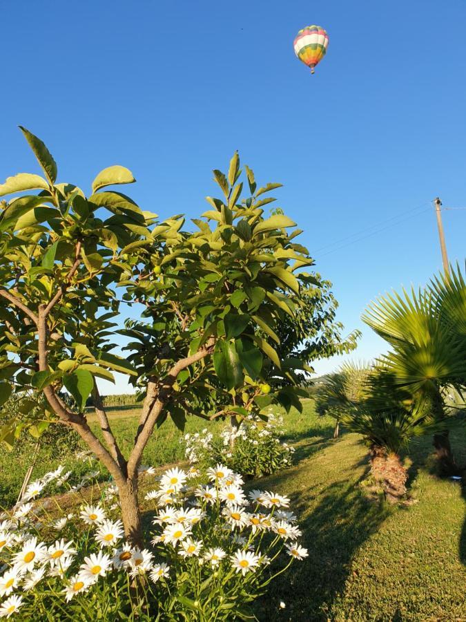 La Dolce Vita Castelfidardo Bagian luar foto