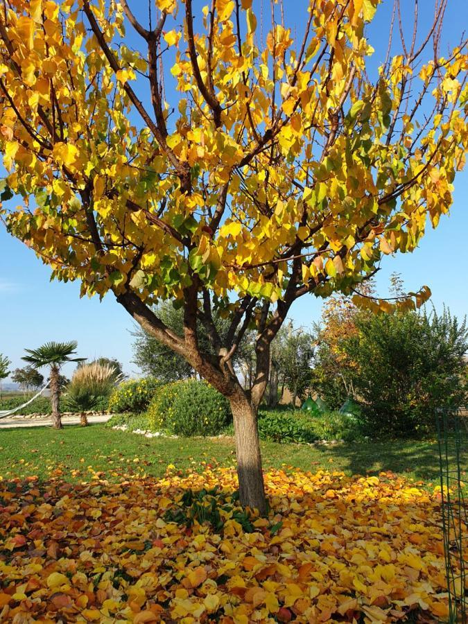La Dolce Vita Castelfidardo Bagian luar foto