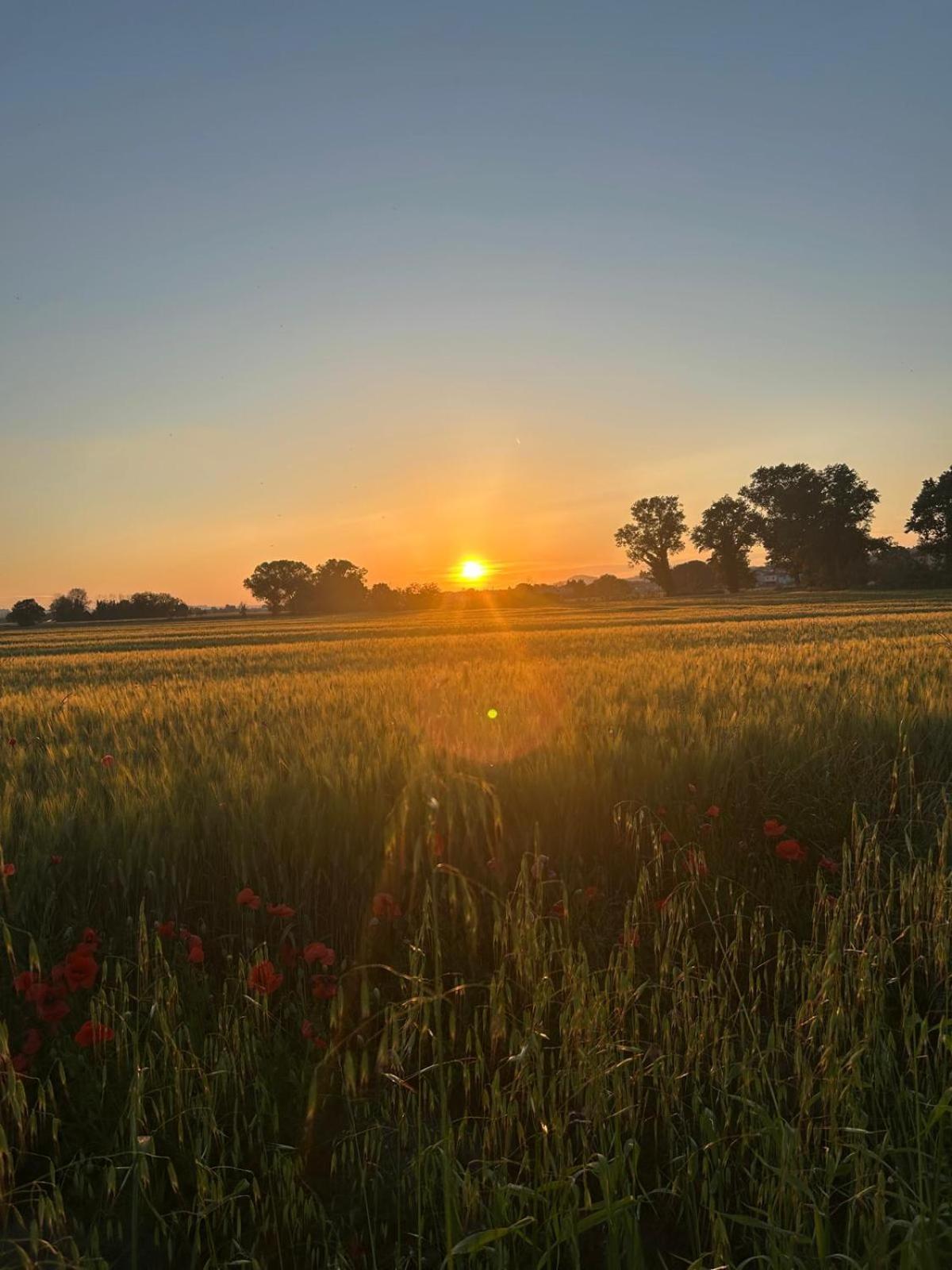 La Dolce Vita Castelfidardo Bagian luar foto